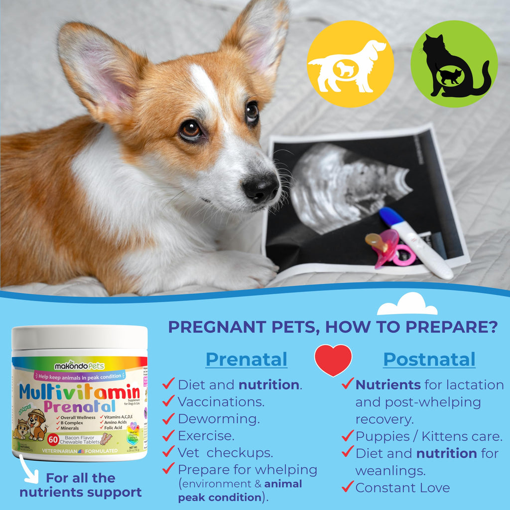 Dog Prenatal Vitamins 60 Tabs Supplement E572020
