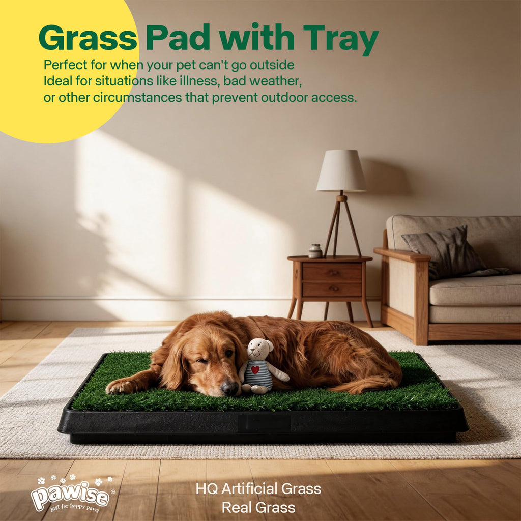 Dog Grass Pad with Tray P67849