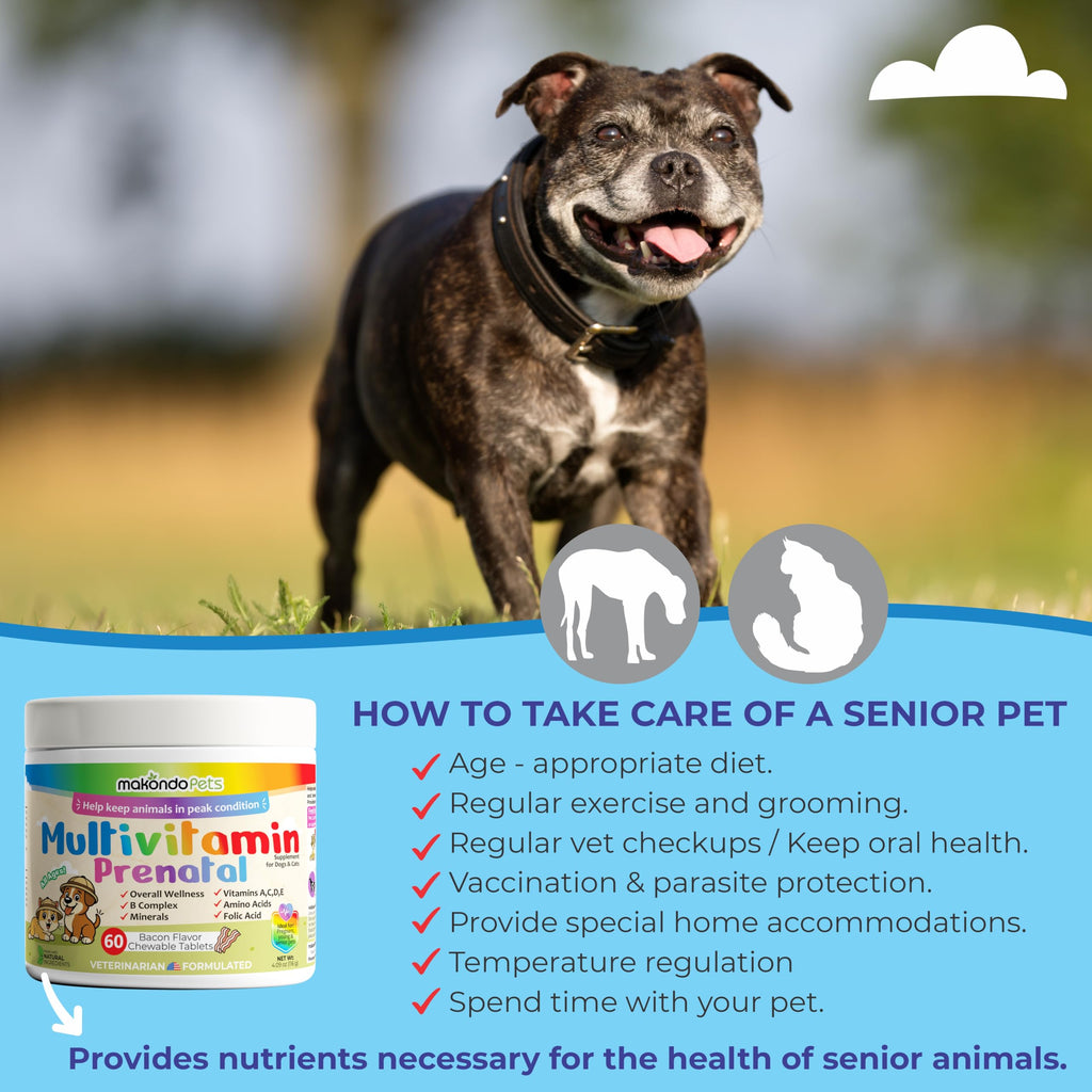 Dog Prenatal Vitamins 60 Tabs Supplement E572020