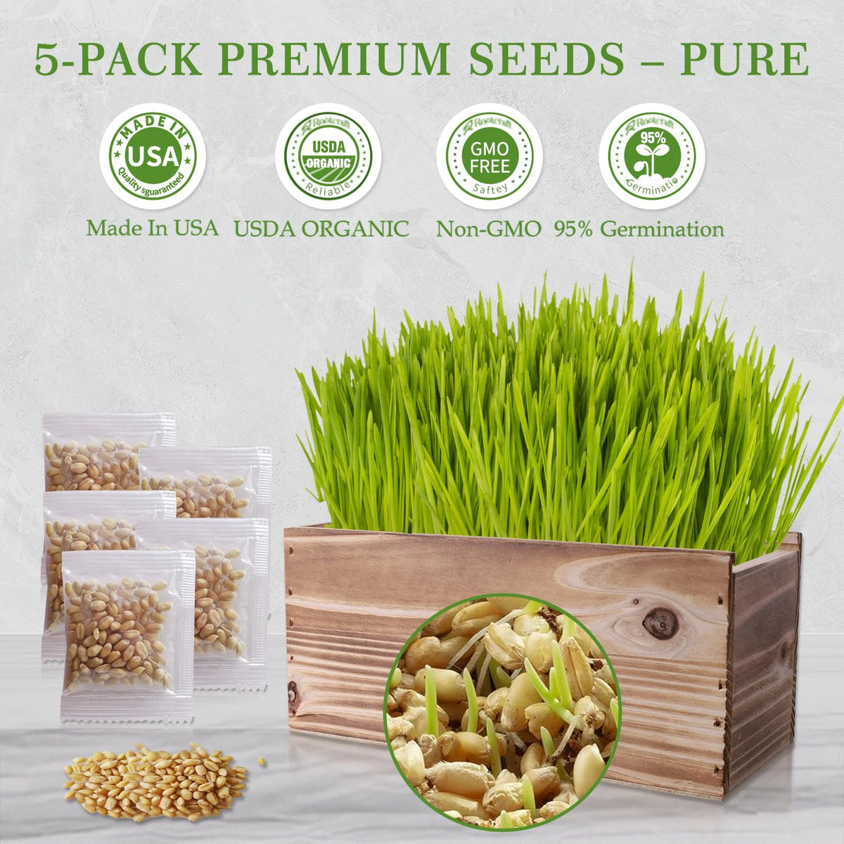 5-Pack Cat Grass Kit with Wood Planter E90644