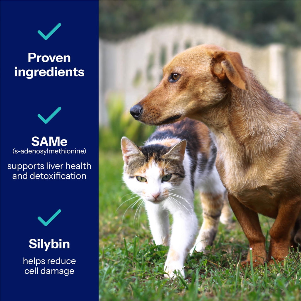 225mg Liver Support for Medium Dogs A9852