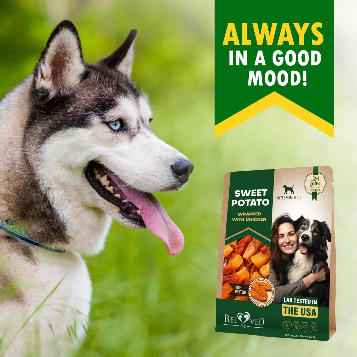 Sweet Potato Dog Treats & Chicken Chews 10.6 Oz P23192