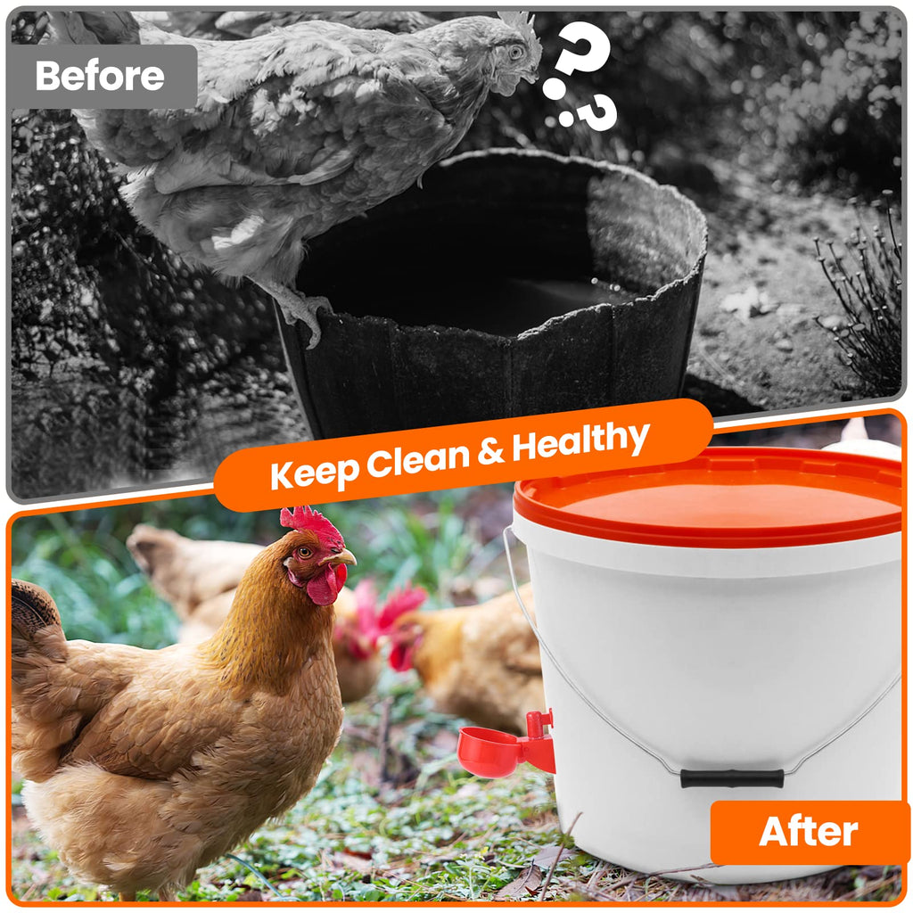 24 Pack Automatic Chicken Waterer V6374