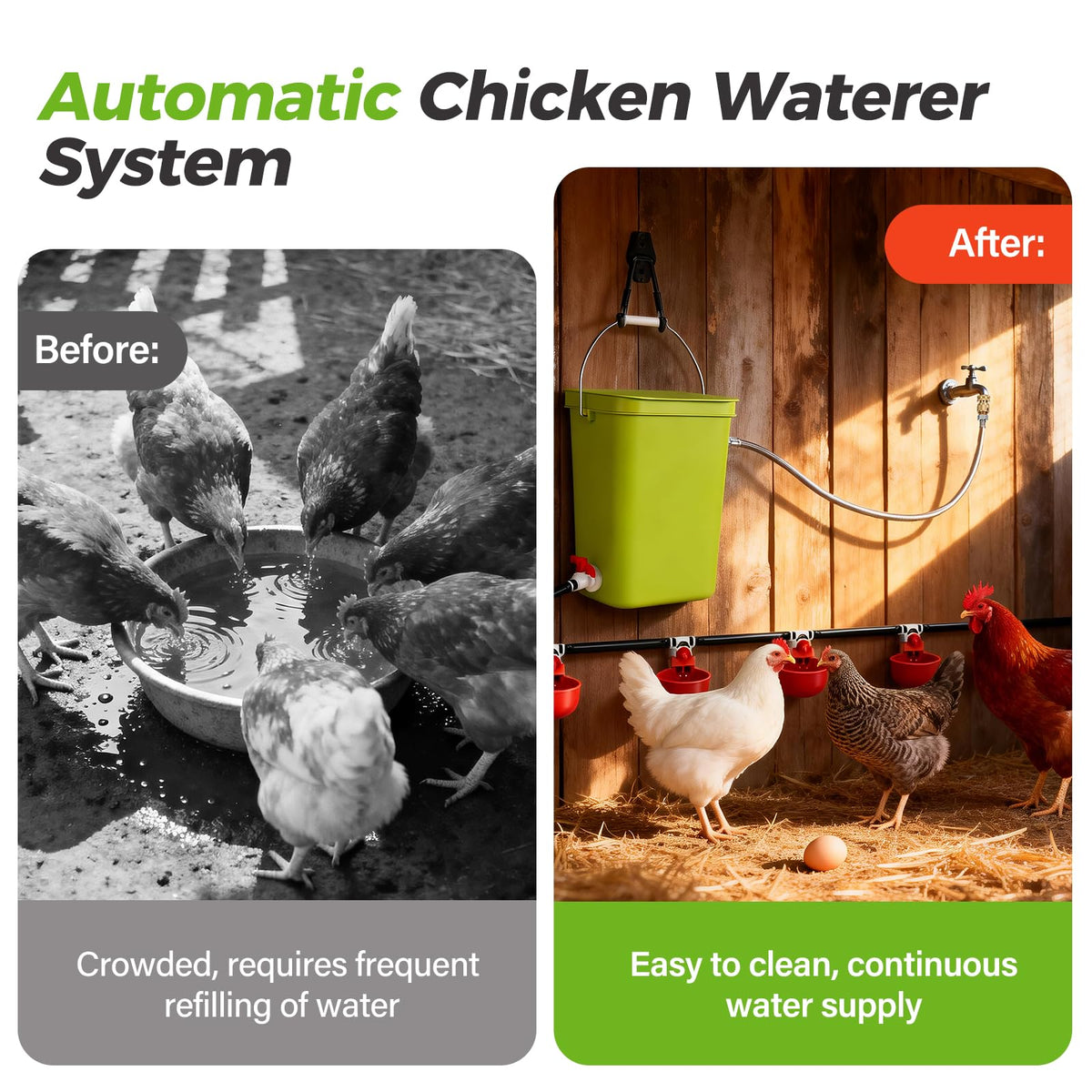 Automatic Chicken Waterer Set K667