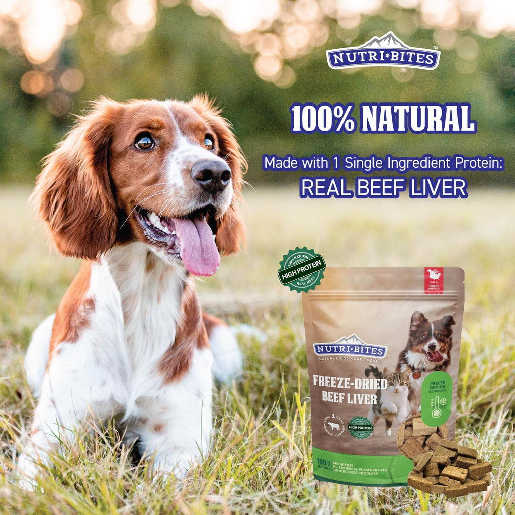 Freeze Dried Beef Liver Dog & Cat Treats 27 Ounce Bag F474