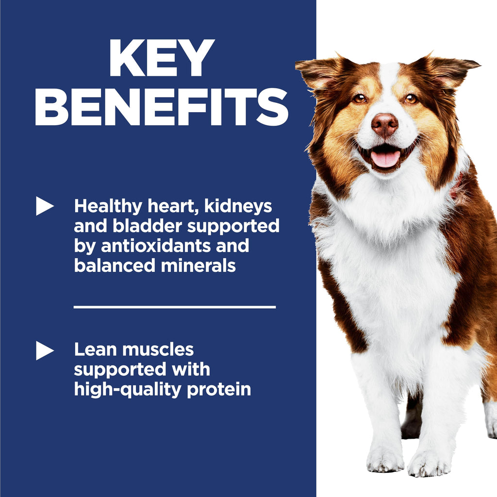 Dry Dog Food D880034