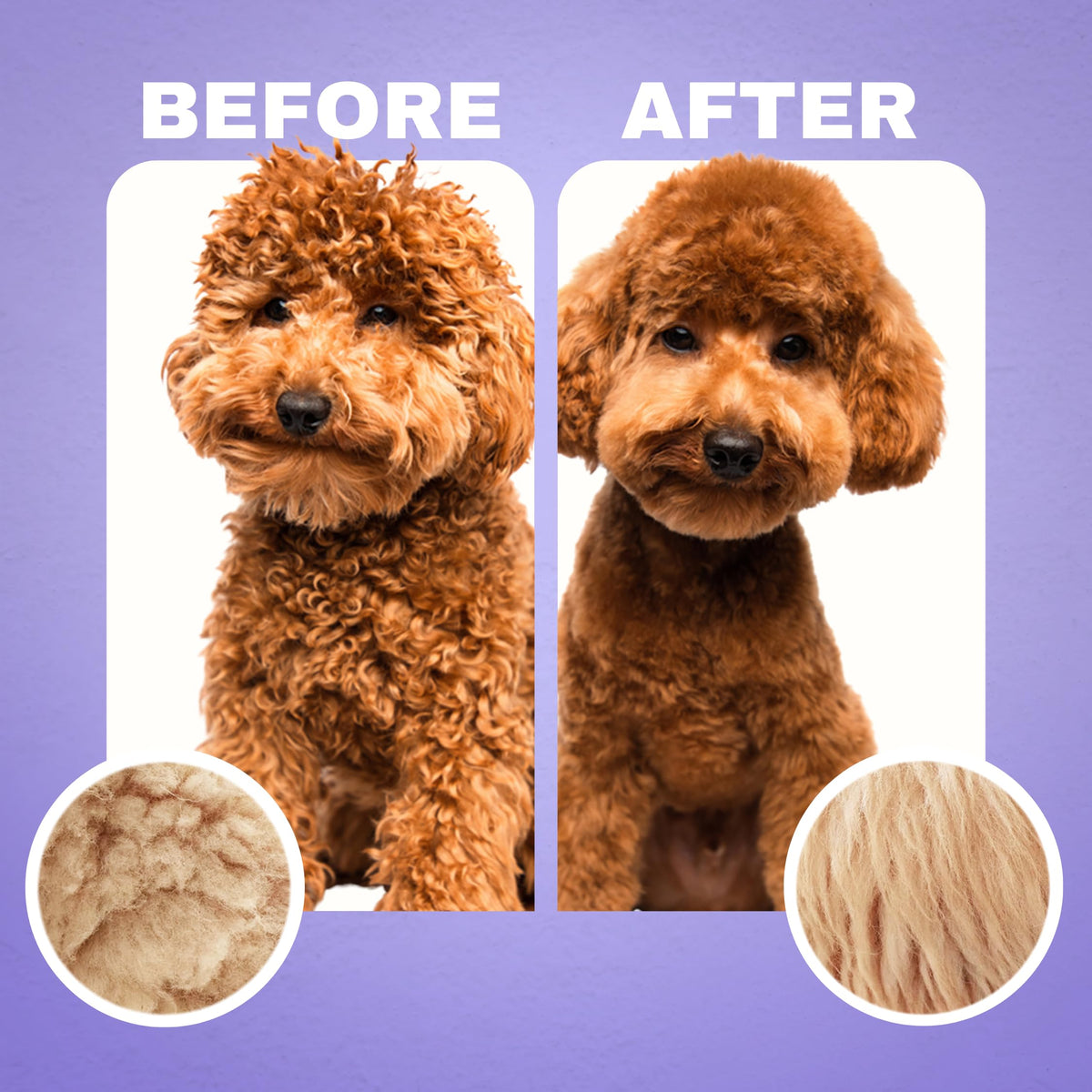 Dog Shampoo and Conditioner S74989