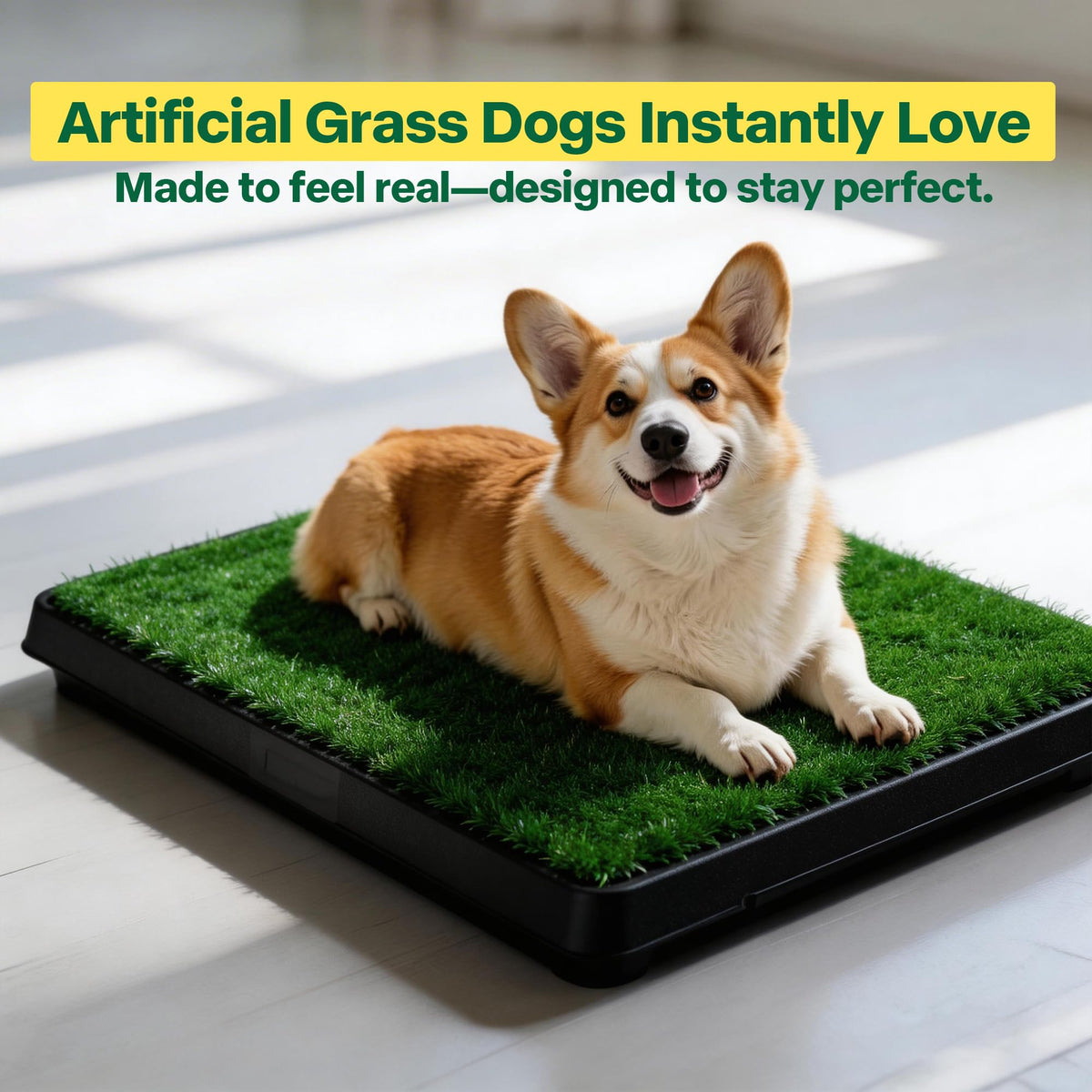 Dog Grass Pad with Tray P67849