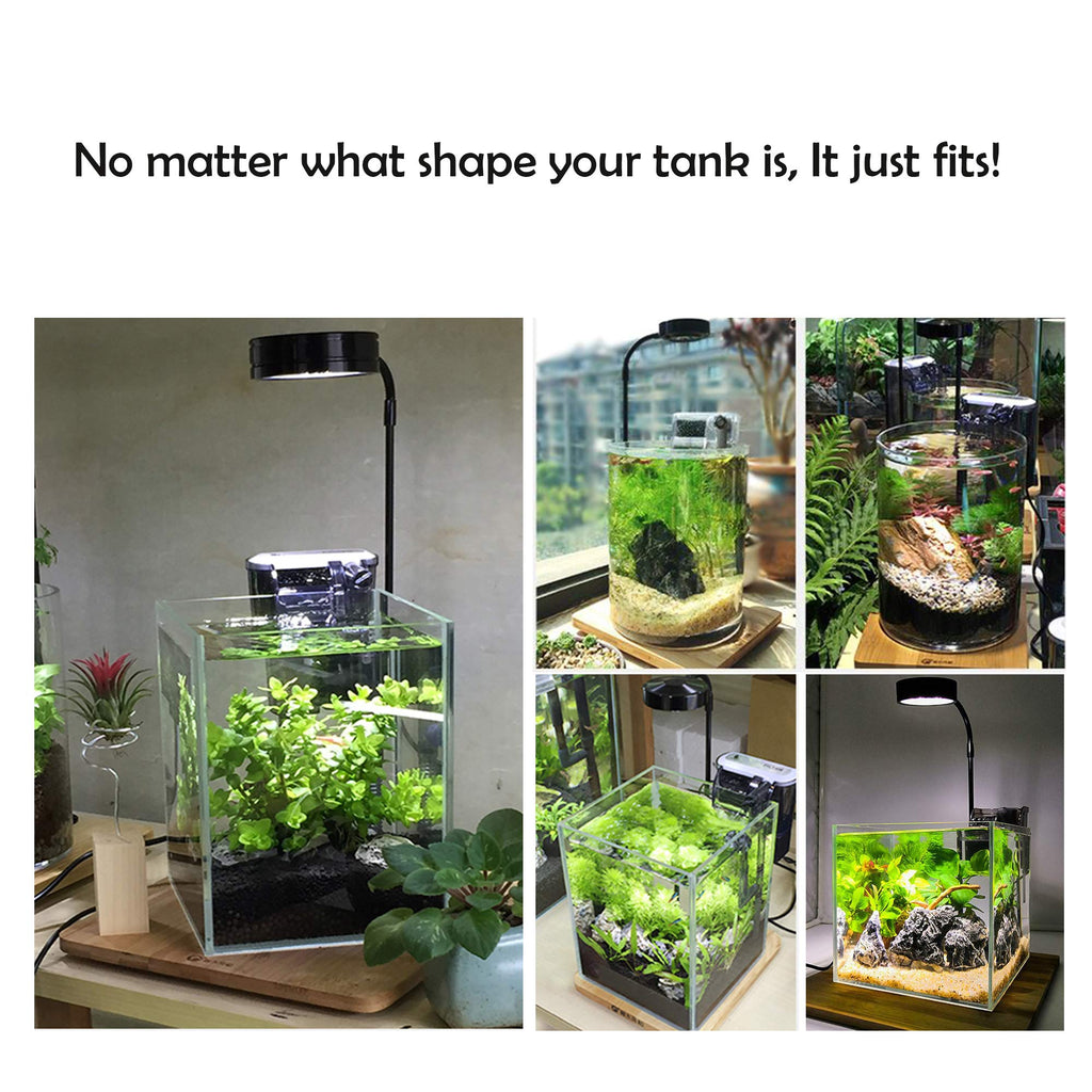 Full Spectrum LED Light with Bamboo Board 5W A99389