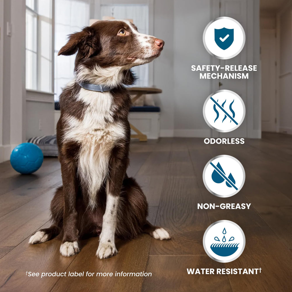 8-Month Flea & Tick Collar for Large Dogs Over 18 lbs K13472