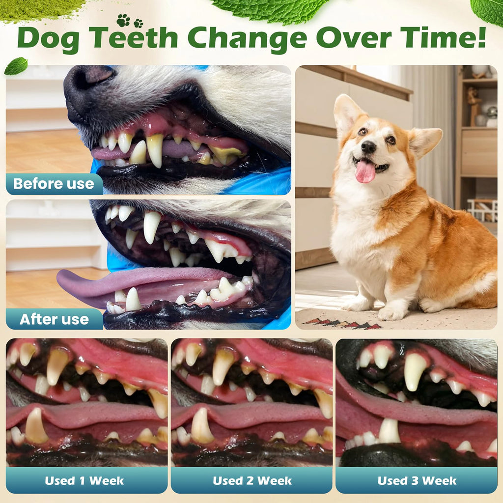 Dog Teeth Cleaning Powder, Dental Powder and Breath Freshener, 200 Grams C34515