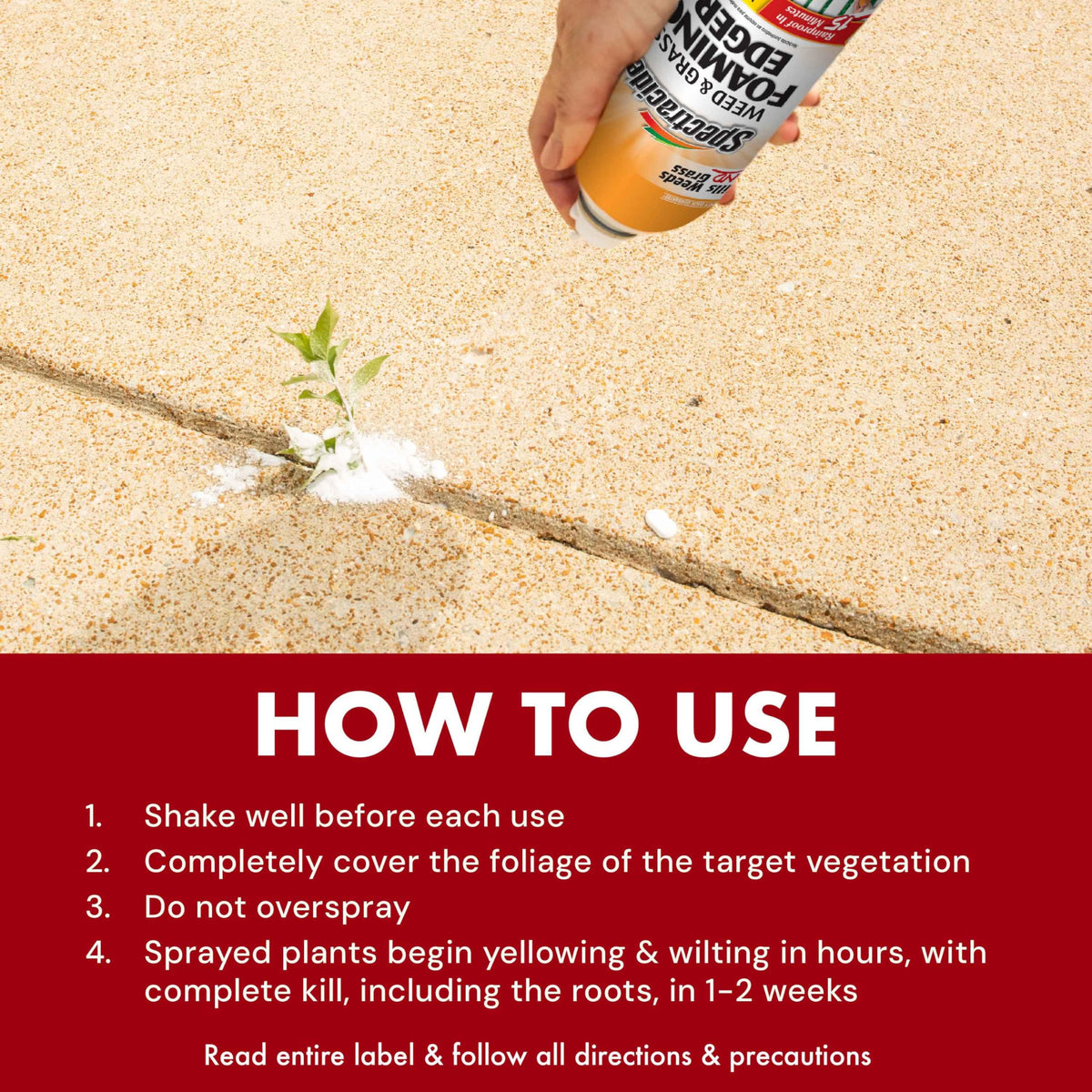 Weed & Grass Foaming Edger Aerosol 17 Oz X40249