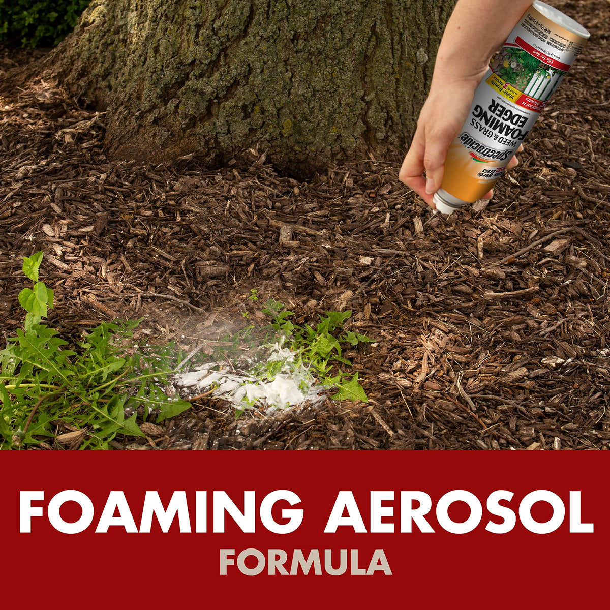 Weed & Grass Foaming Edger Aerosol 17 Oz X40249